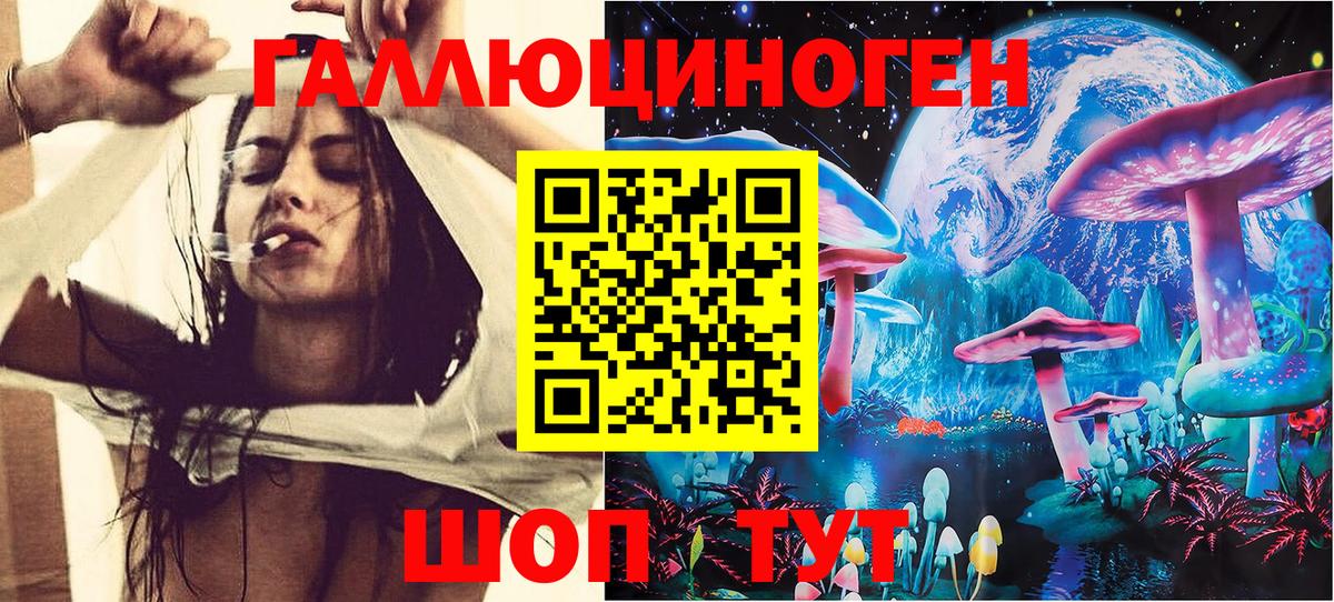 Псилоцибиновые грибы Psilocybine cubensis  Вход с VPN  Домодедово  Псилоцибиновые грибы прущие грибы 